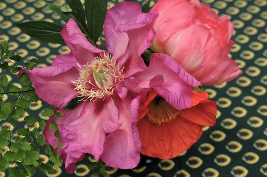 poppies and peony centerpiece