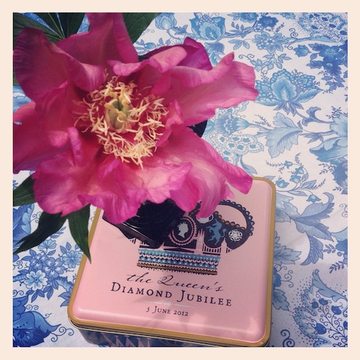 pink tree peony jubilee commemorative tin