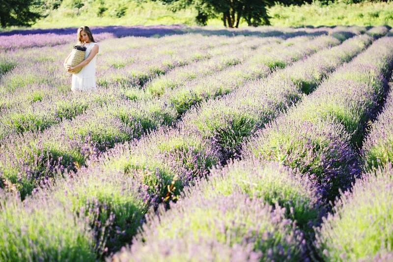 finch and thistle, bryce covey photography, seattle wedding